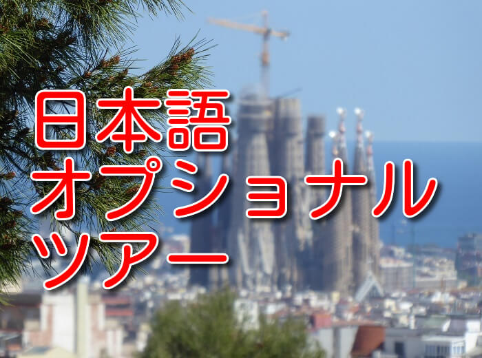 オプショナルツアー