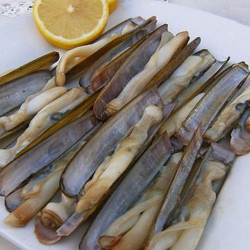 鉄板焼きのマテガイ