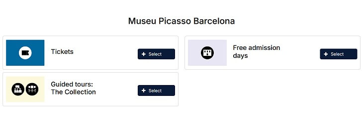 ピカソ　チケット種類
