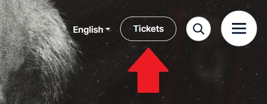 ピカソ美術館　公式サイト