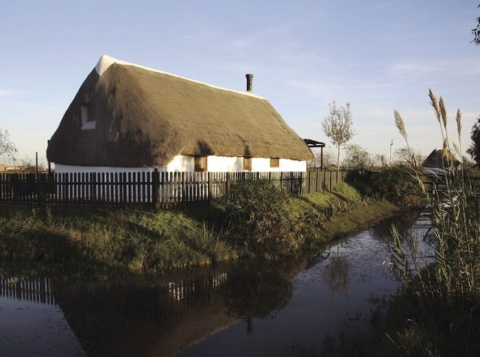 エブロ河　三角州