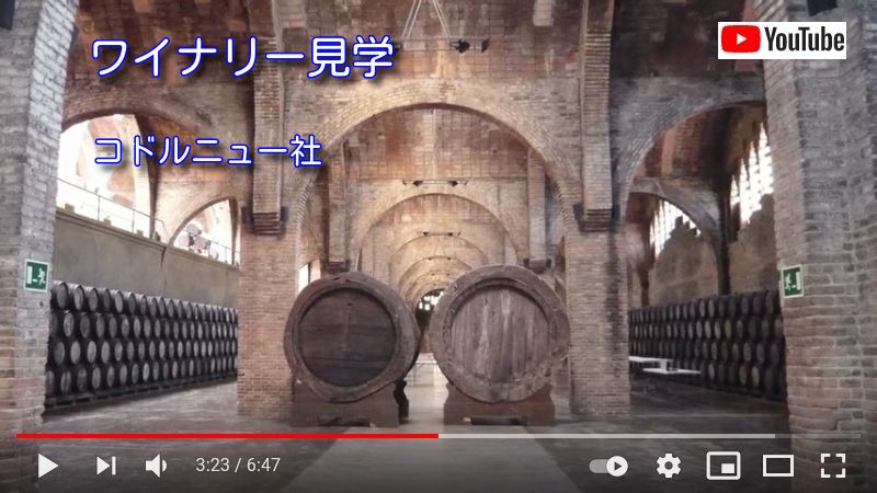 ワイナリー　ビデオ