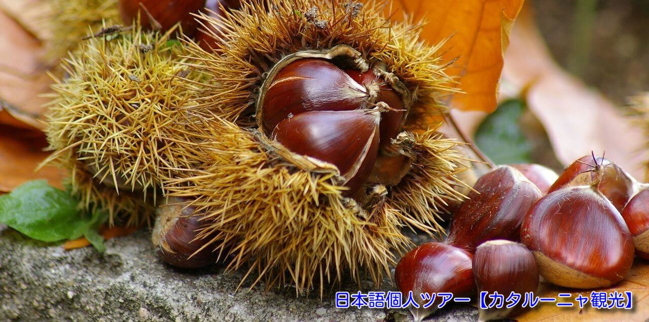 バルセロナ 天気 今日 明日 今週 １０日間予報や服装ナビ 平均気温 スペイン週間天気 ２０２２年 バルセロナ観光 フリープランなら カタルーニャ観光