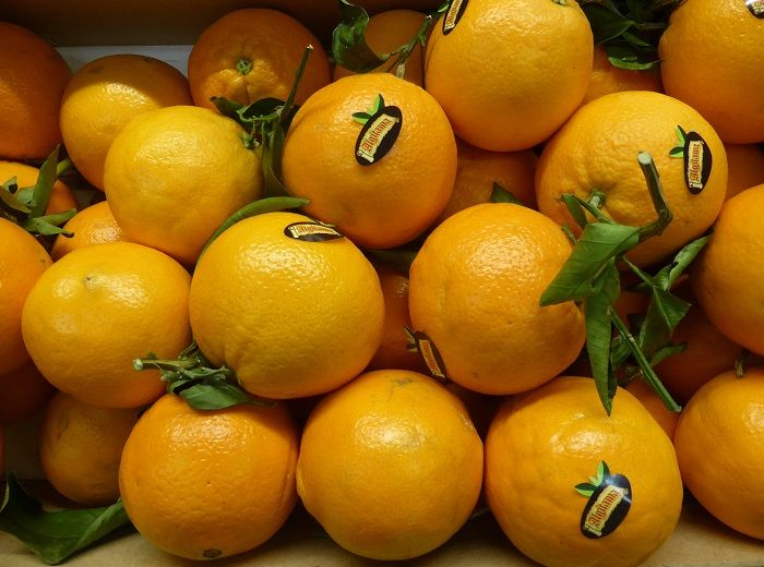 バレンシア　オレンジ